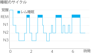 睡眠のサイクル