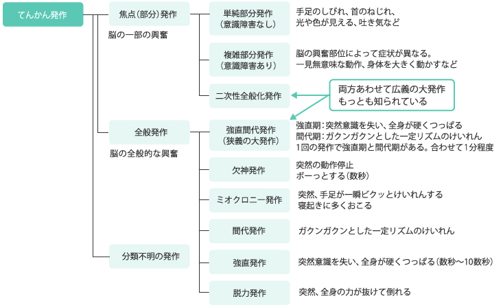 てんかん発作 焦点（部分発作）脳の一部の興奮 単純発作（意識障害なし）手足のしびれ、首のねじれ、光や色が見える、吐き気など 複雑部分発作（意識障害あり）脳の興奮部位によって症状が異なる。一見無意味な動作、身体を大きく動かすなど 二次性全般化発作 両方あわせて広義の大発作もっとも知られている 全般発作 脳の全般的な興奮 強直間代発作（狭義の大発作） 強直期：突然意識を失い、全身が硬くつっぱる間代期：ガクンガクンとした一定リズムのけいれん1回の発作で強直期と間代期がある。合わせて1分程度 欠神発作 突然の動作停止ボーっとする（数秒） ミオクロニー発作 突然、手足が一瞬ビクッとけいれんする寝起きに多くおこる 間代発作 ガクンガクンとした一定リズムのけいれん 強直発作 突然意識を失い、全身が硬くつっぱる（数秒〜10数秒） 脱力発作 突然、全身の力が抜けて倒れる 監修：渡辺 雅子 先生