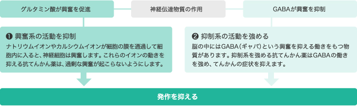 抗てんかん薬の作用