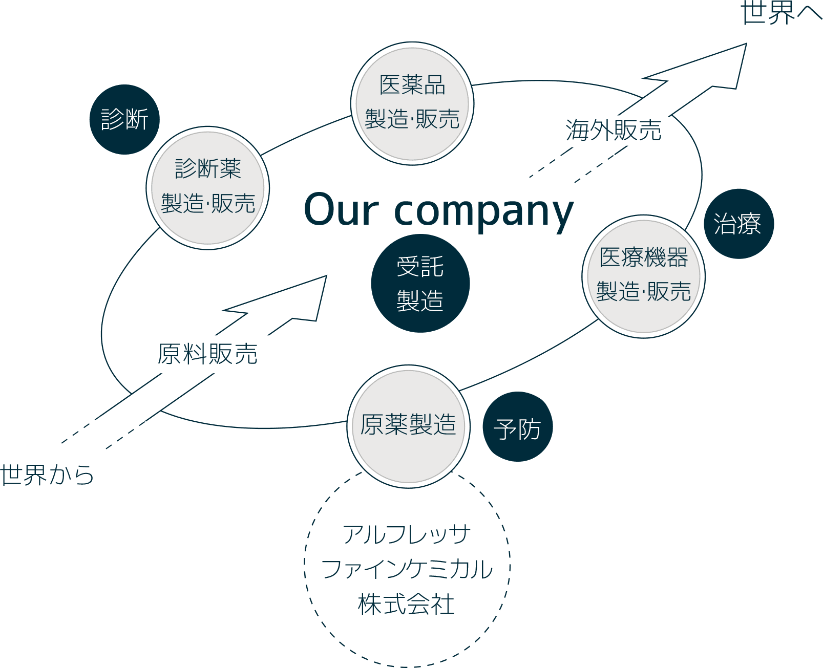 Our company